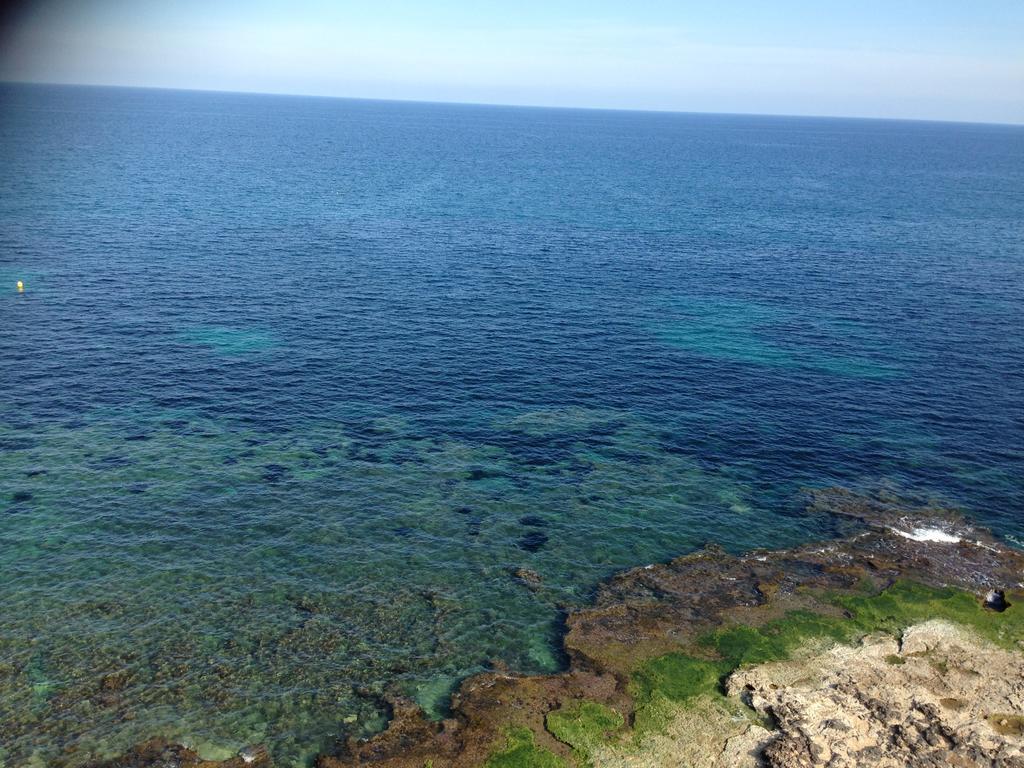 Apartamento Maestro Parada Torrevieja Bilik gambar